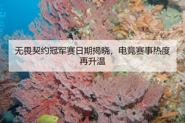 无畏契约冠军赛日期揭晓，电竞赛事热度再升温